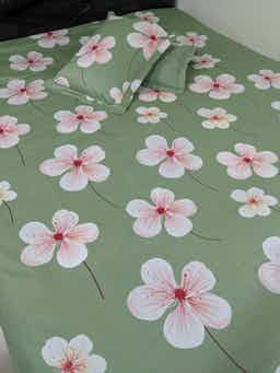 100% Cotton Fabric Premium  Bedsheet Light Green  (৩ পিসের সেট)